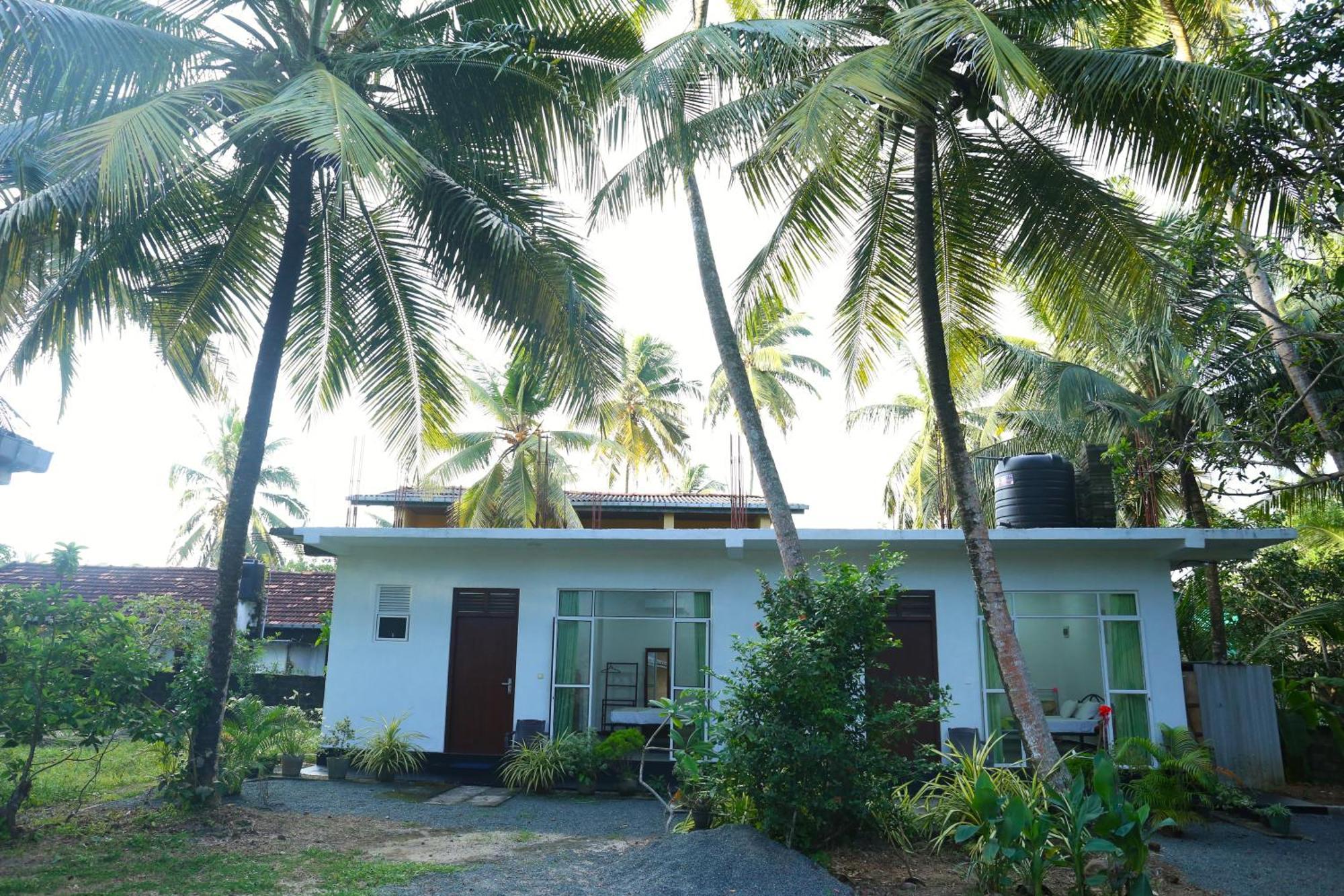 Sandy Palms Guesthouse Hikkaduwa Zewnętrze zdjęcie