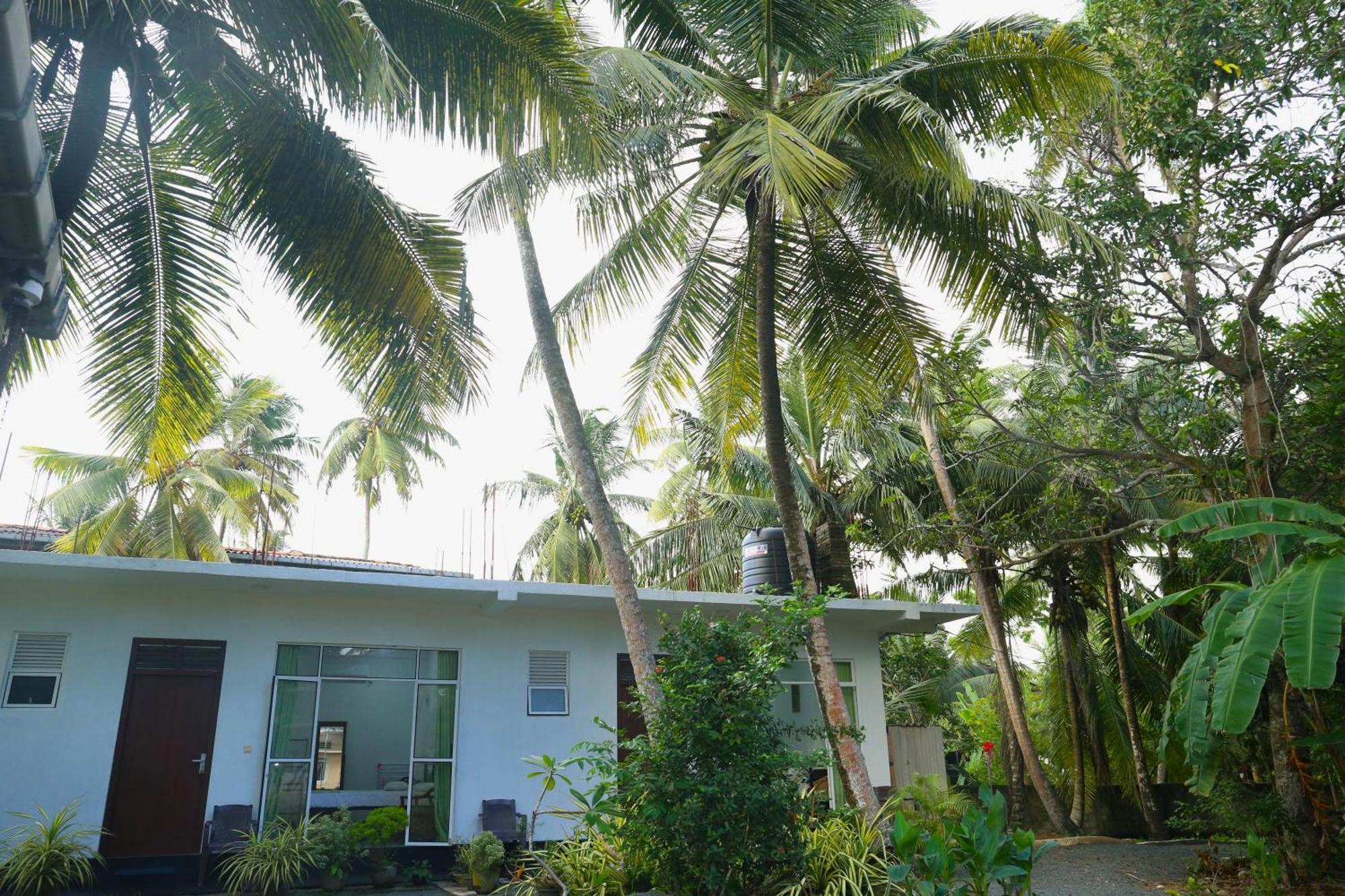 Sandy Palms Guesthouse Hikkaduwa Zewnętrze zdjęcie