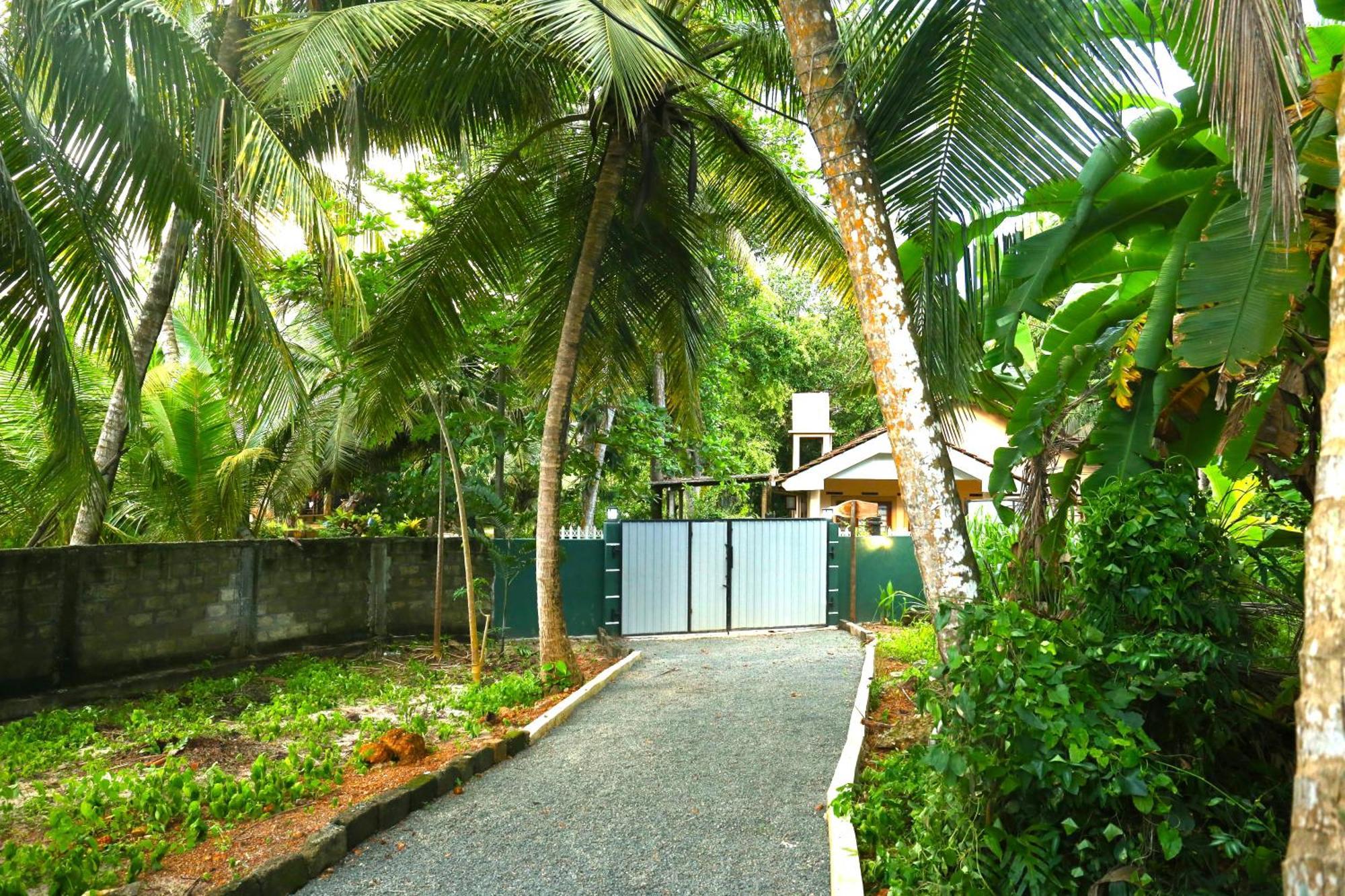 Sandy Palms Guesthouse Hikkaduwa Zewnętrze zdjęcie